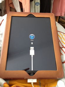 3GB 内存苹果 iPad 被《堡垒之夜》“拒之门外”？玩家崩溃：连《罗布乐思》都卡爆了！