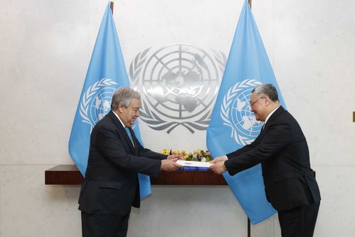 中国常驻联合国代表傅聪在安理会发言现场图