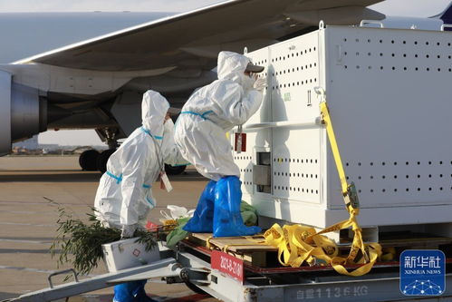 机场工作人员检查燃油罐