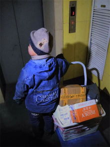 8岁男孩花1万多网购26箱荔枝，背后真相让人哭笑不得