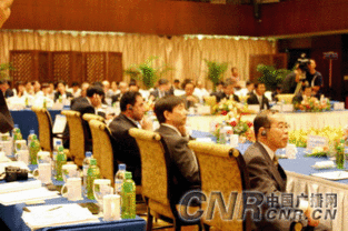 国际会议中各国代表热烈讨论中国方案