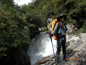 徒步队伍在森林中穿行