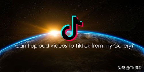 TikTok应用图标与全球地图叠加图
