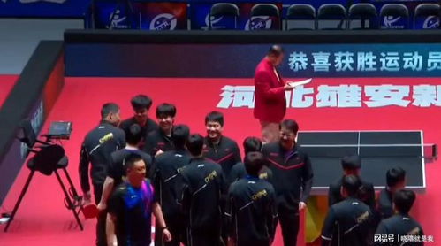 王楚钦代表山东魏桥队参加比赛