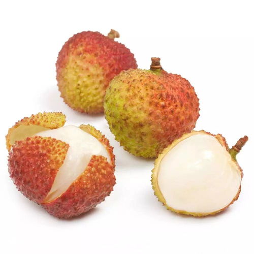 荔枝树上果实被虫蛀的痕迹