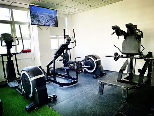 博士在健身房认真教学