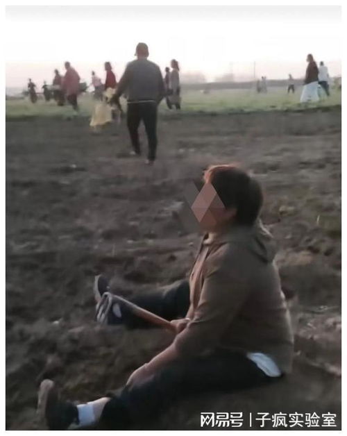 河南药材种植户坐在地上痛哭视频截图