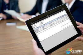用户在iPad上运行罗布乐思时出现内存不足警告