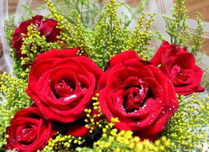 当我在网上学了如何醒花，才知道原来鲜花也有‘呼吸’的魔法！