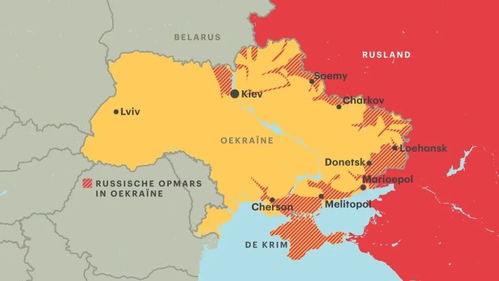 军事专家在分析地图