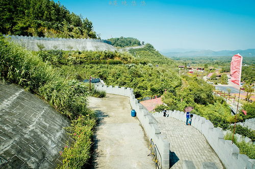 无人机划伤游客、博主下水溺亡，滕王阁景区安全问题再引热议