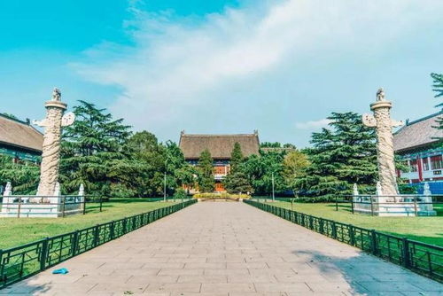 北大第一节上课就退学复读？背后真相令人深思