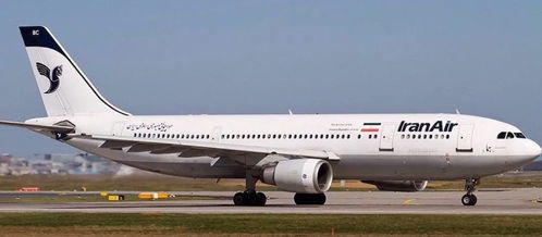 以色列机场停飞