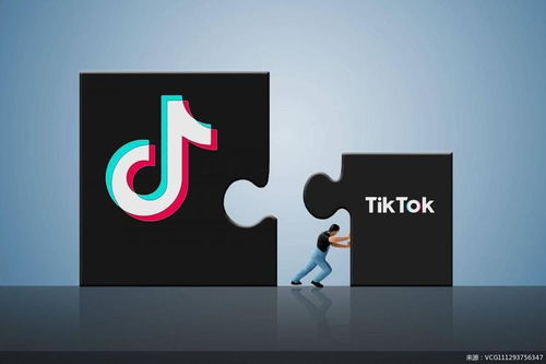 TikTok应用程序界面截图示意图