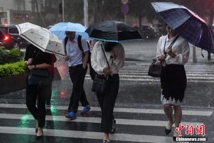 广东人面对暴雨天有多松弛？真实生活图鉴曝光！