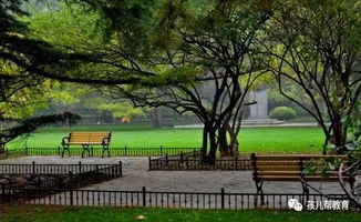 北大校园宁静一角