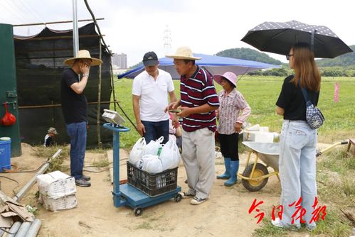 瓜农笑着对路人挥手