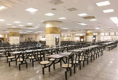 韦神食堂吃饭被多人轮番拍照，低调数学天才的无奈日常