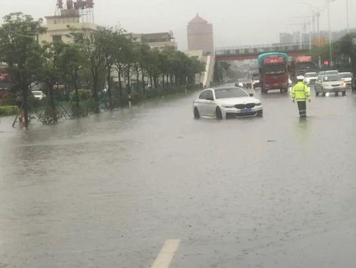 广东高速因暴雨积水导致交通中断