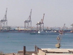 祖国一定接你回家：一位海外游子的真实经历