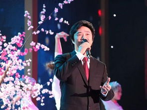 河南爱豆微博爆火背后：一个小镇青年的逆袭故事