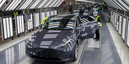 云南乡村街道上停满特斯拉车辆