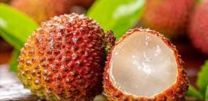 荔枝丰收却价低如白菜，农户无奈放弃采摘！真相令人唏嘘