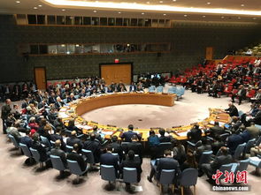 联合国安理会召开紧急会议
