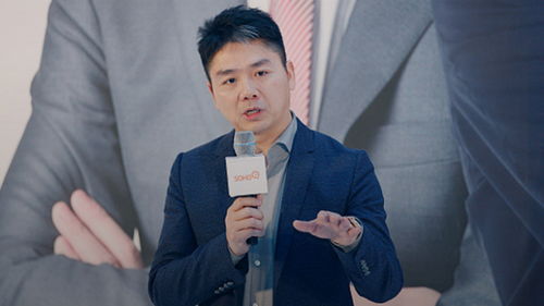 刘强东在京东内部会议上讲话