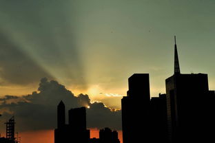 台风来临前的果园