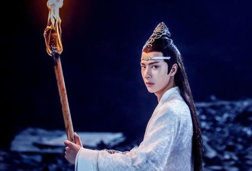 肖战身穿金丝雀羽大氅剧照