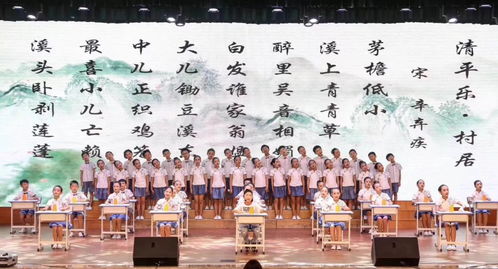 诗词大会上来自喀什的8岁男孩艾拜杜拉