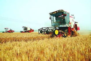 农田中多台农机协同作业场景