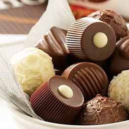 巧克力在家中安静趴着的照片