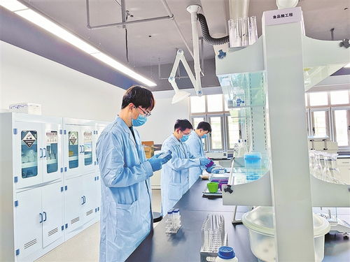 实验室内的科研人员正在测试人工树叶样品