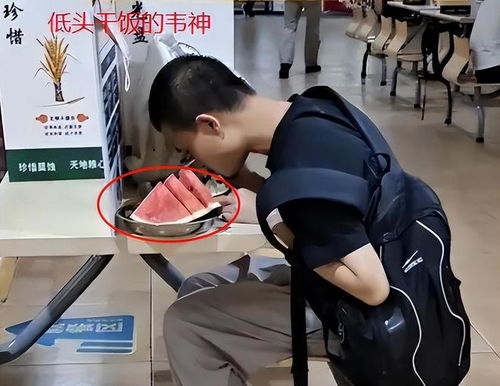 北大“韦神”食堂吃饭遭围拍，网友怒斥：把人当猴耍？