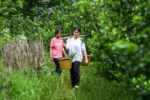 网警出手！假冒‘扁担女孩’账号牟利者被查处，真相令人唏嘘