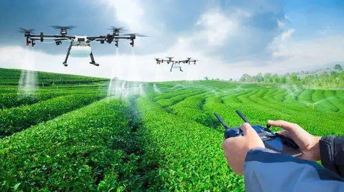 无人机在农田上空飞行作业