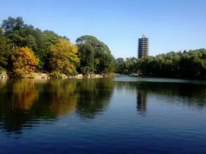 北京大学未名湖畔