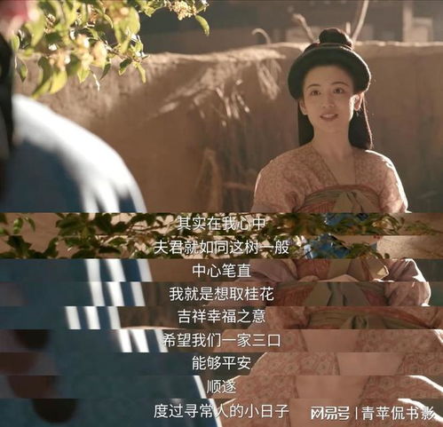 《长安的荔枝》扑街背后：高期待为何换不来高热度？