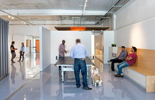 初创科技公司办公室工作场景