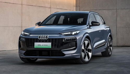 奥迪Q6L e-tron电动车型展示图