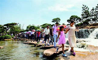 园博园游客散步