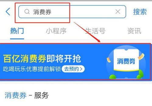用户领取消费券界面示意图