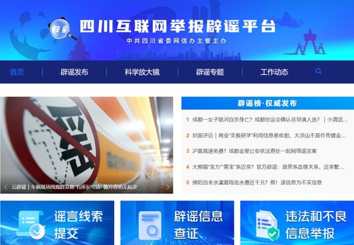 网络辟谣举报界面示意图
