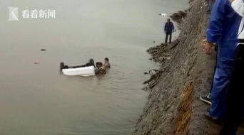 村民围观桥缝中被困鱼群