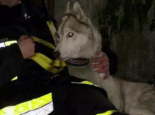 蓝朋友表白季：我与消防员男友的甜蜜日常