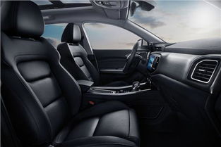 未来智能驾驶系统应更具包容性与多样性