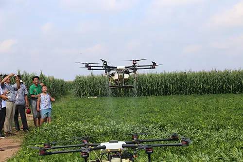 科技助力“麦”向丰收｜从田间到餐桌的智慧农业变革