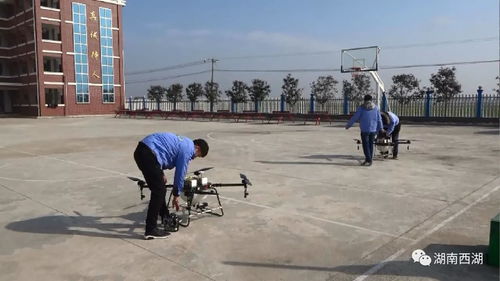 现代化农业示范区无人机喷洒作业场景